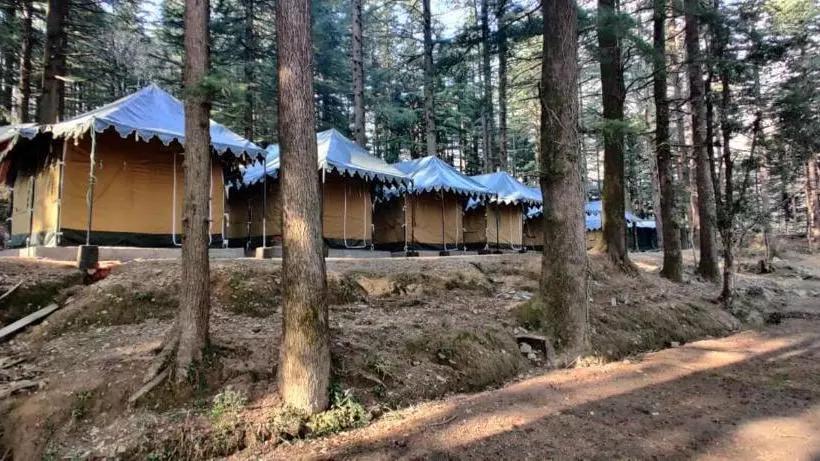 ベッドアンドブレックファースト Himtrekstays,mcleodganj