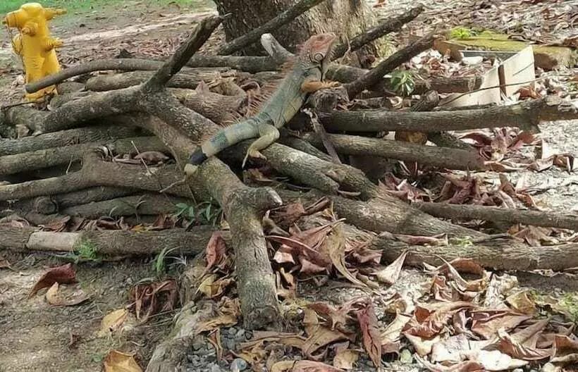 Hotelli Brunka Lodge