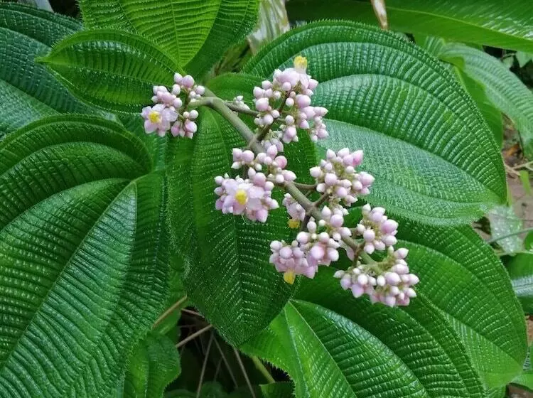 Hotelli Brunka Lodge