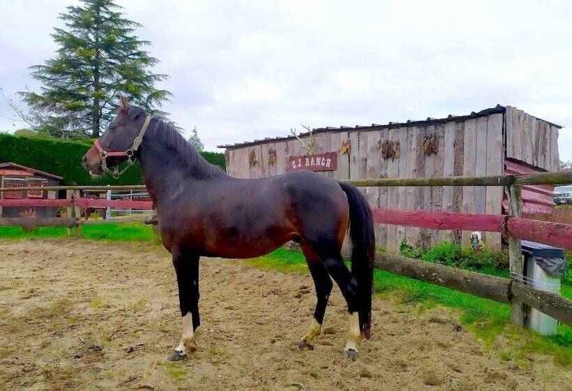 Пансион Le Ranch De Calamity Jane Tipis D Hôtes