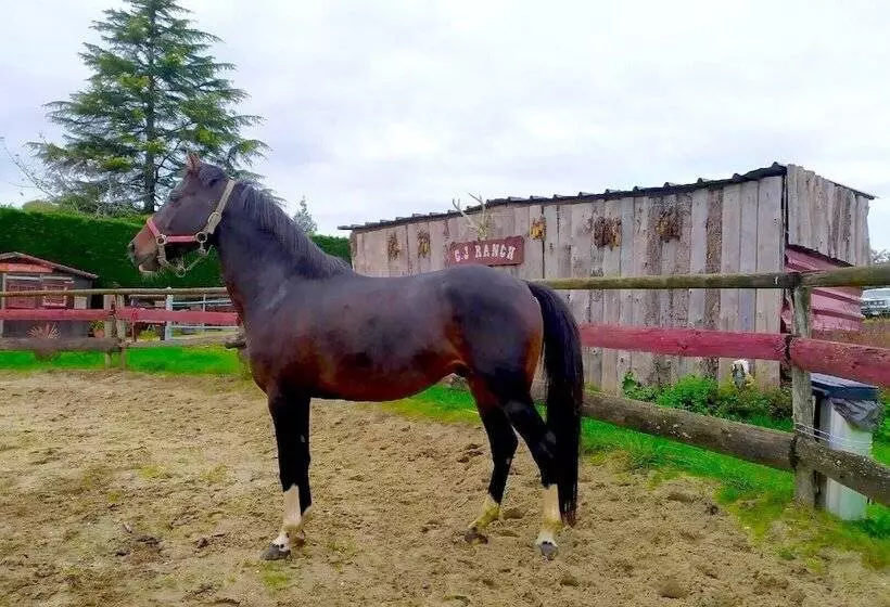 ペンション Le Ranch De Calamity Jane Tipis D Hôtes