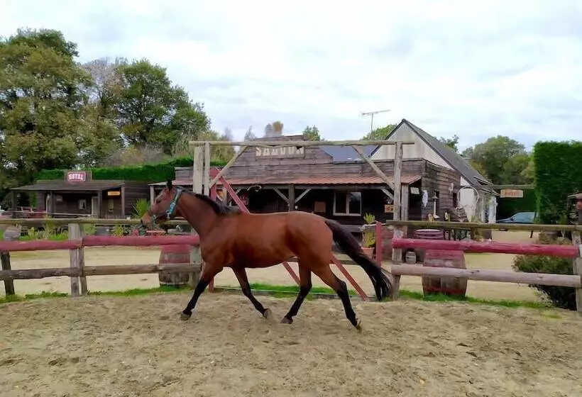 ペンション Le Ranch De Calamity Jane Tipis D Hôtes