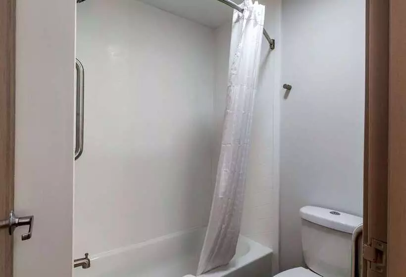 בית מלון כפרי Comfort Inn Mount Pleasant Racine