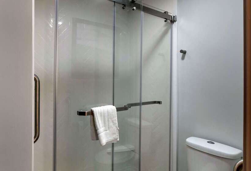 فندق Comfort Inn Mount Pleasant Racine