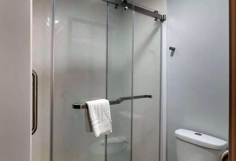 בית מלון כפרי Comfort Inn Mount Pleasant Racine