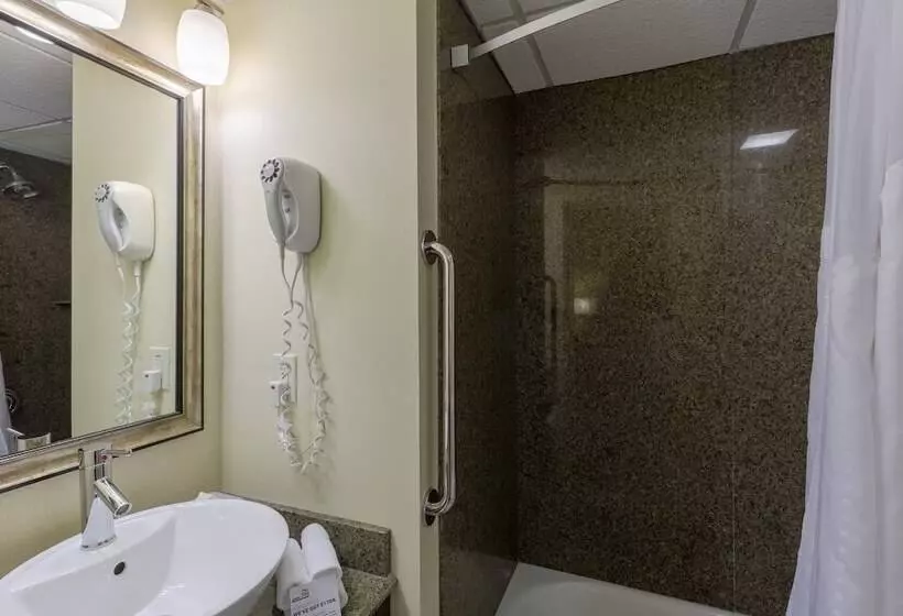 فندق Holiday Inn Express & Suites Atlanta Downtown, An Ihg