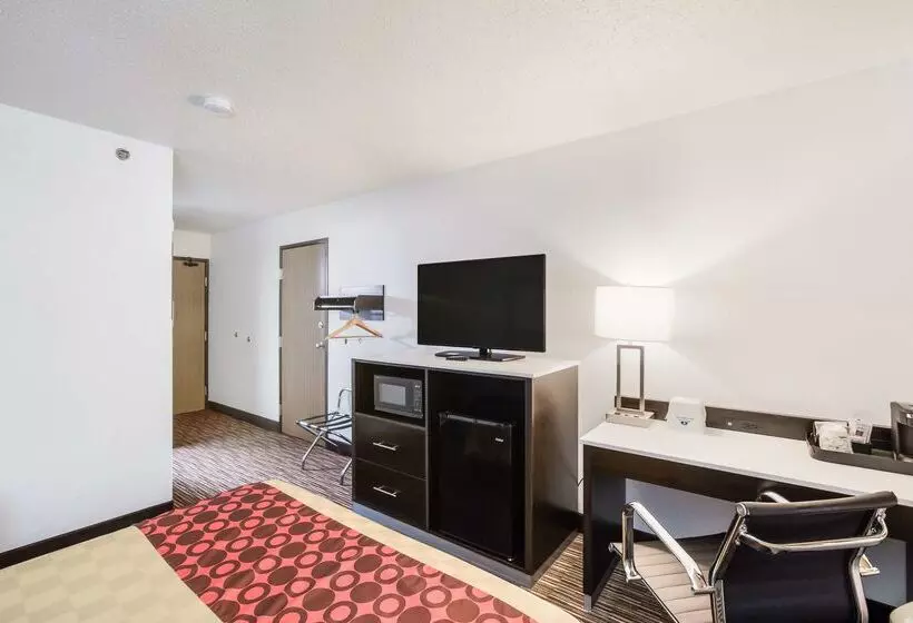 汽车旅馆 Americas Best Value Inn Charlotte