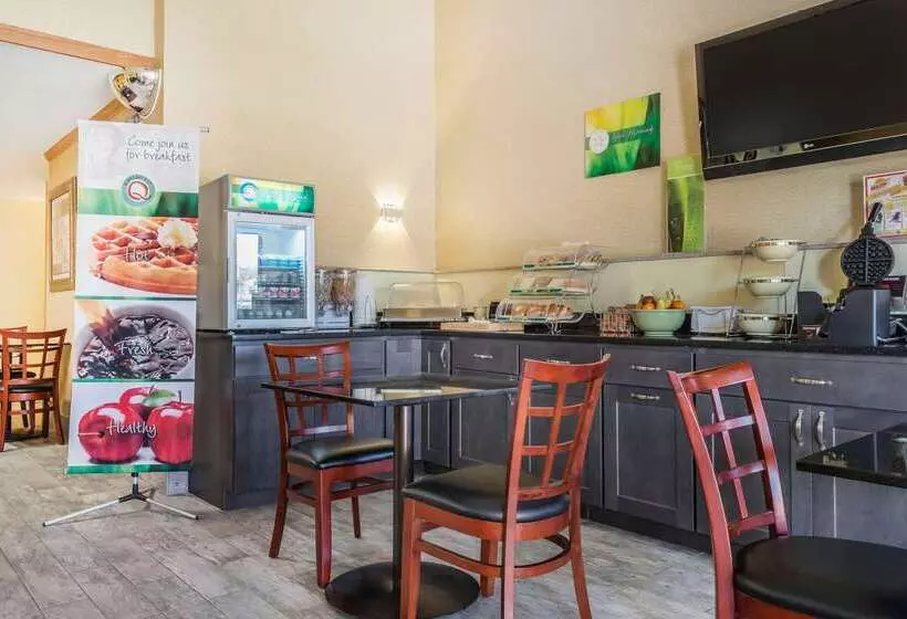 汽车旅馆  Quality Inn & Suites