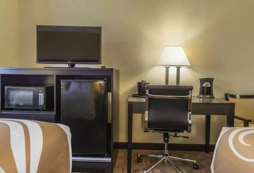 汽车旅馆  Quality Inn & Suites