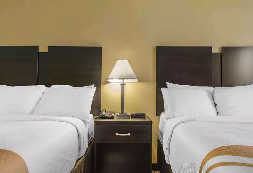 汽车旅馆  Quality Inn & Suites