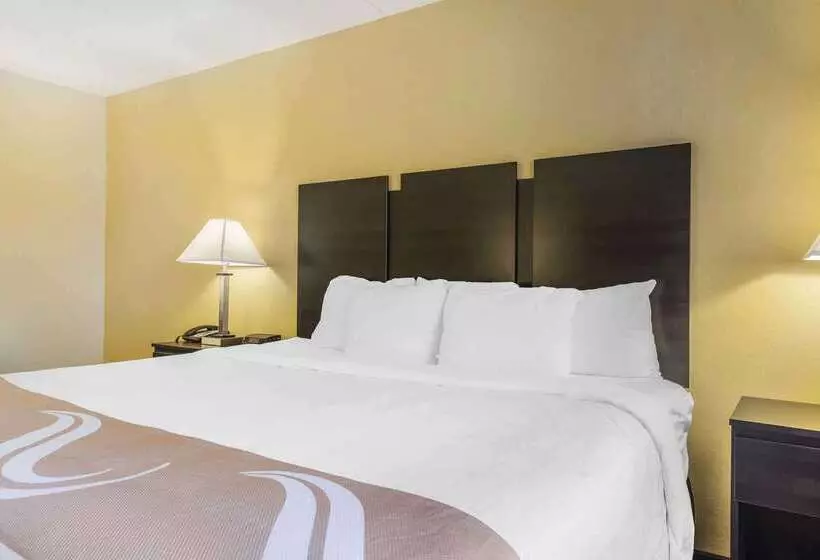 汽车旅馆  Quality Inn & Suites