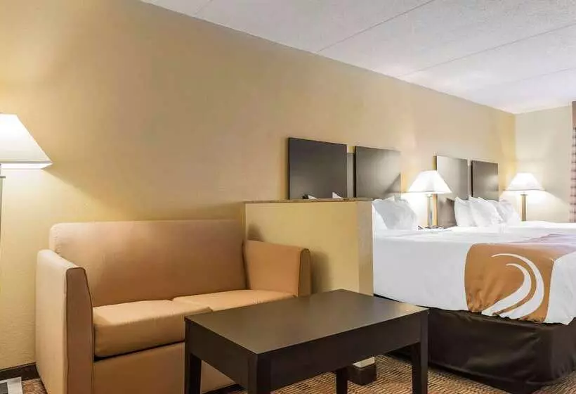 汽车旅馆  Quality Inn & Suites