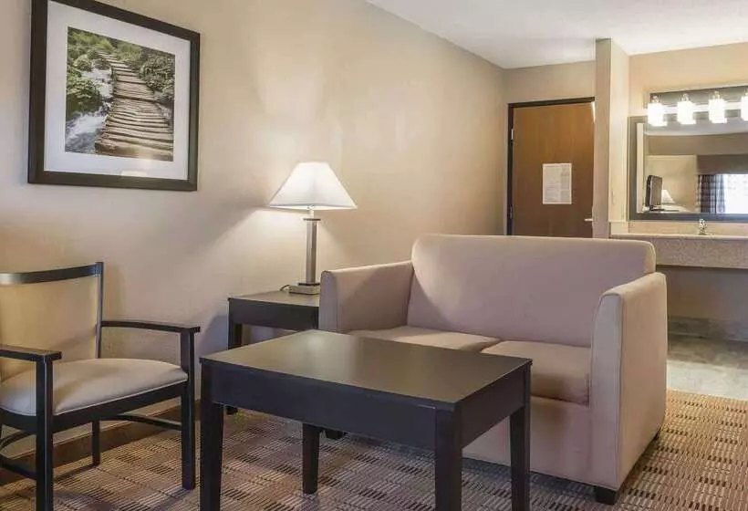 汽车旅馆  Quality Inn & Suites