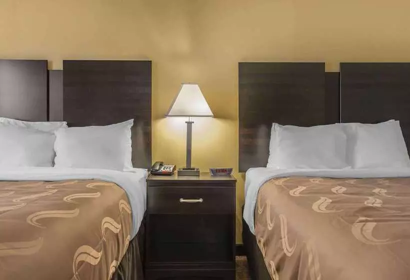 汽车旅馆  Quality Inn & Suites