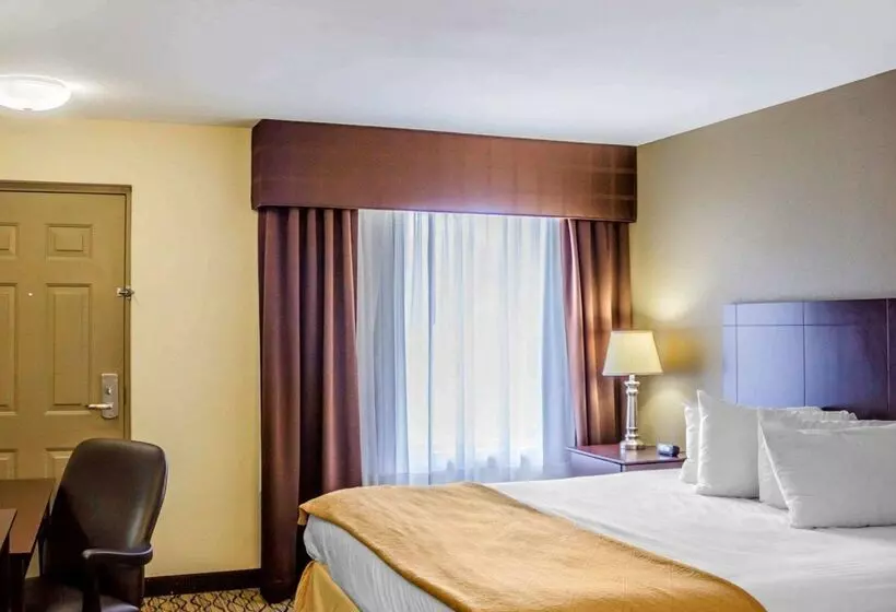 모텔 Quality Inn Waterbury