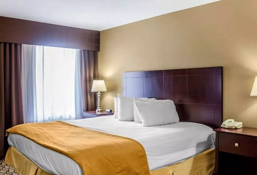 모텔 Quality Inn Waterbury