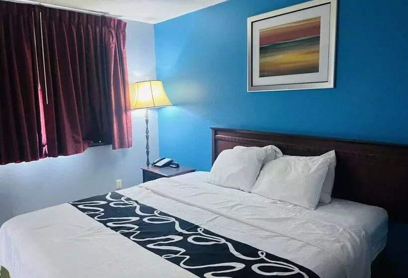 汽车旅馆 Rodeway Inn