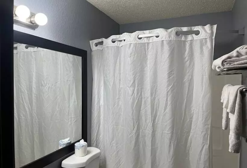 汽车旅馆 Rodeway Inn