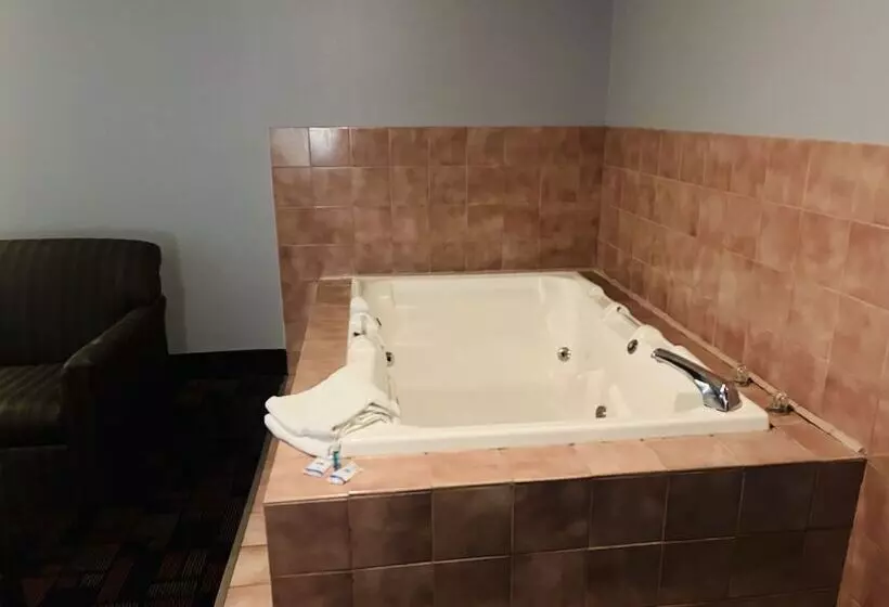 汽车旅馆 Rodeway Inn