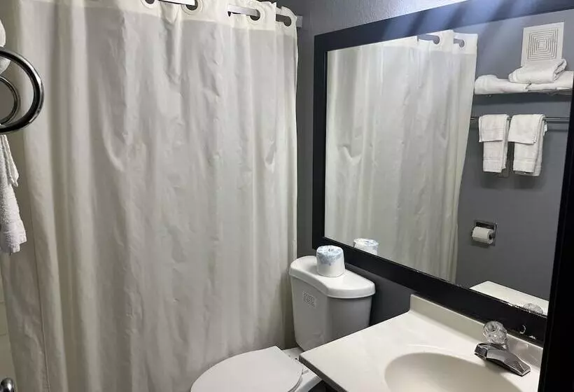 汽车旅馆 Rodeway Inn