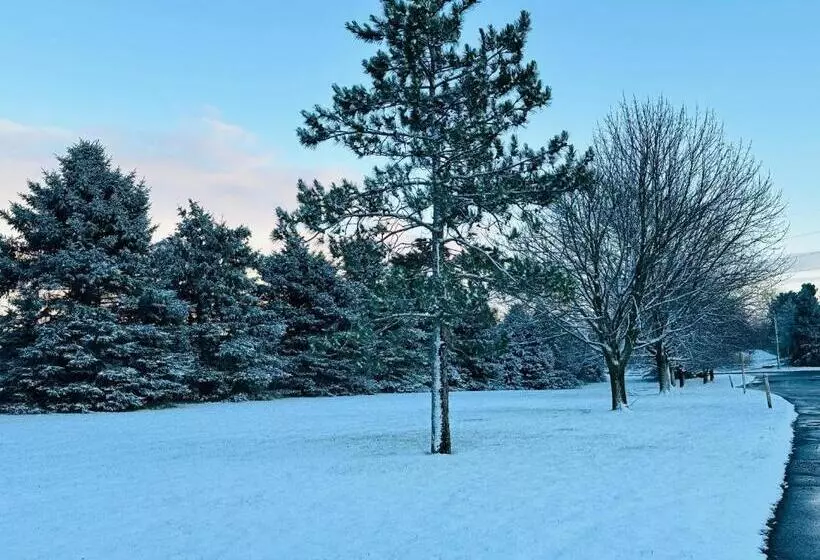 מוטל Super 8 By Wyndham Imlay City