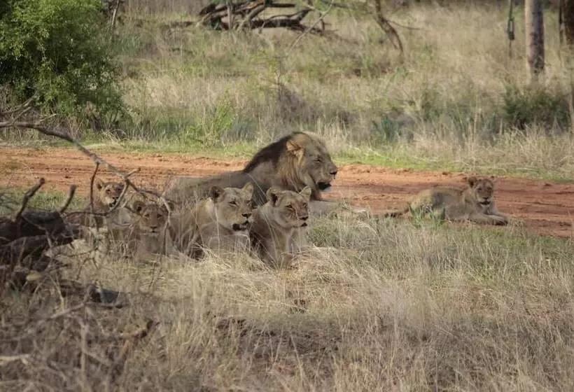 ホテル Emhosheni River Lodge