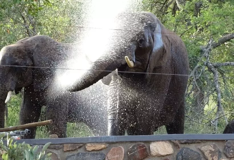 ホテル Emhosheni River Lodge