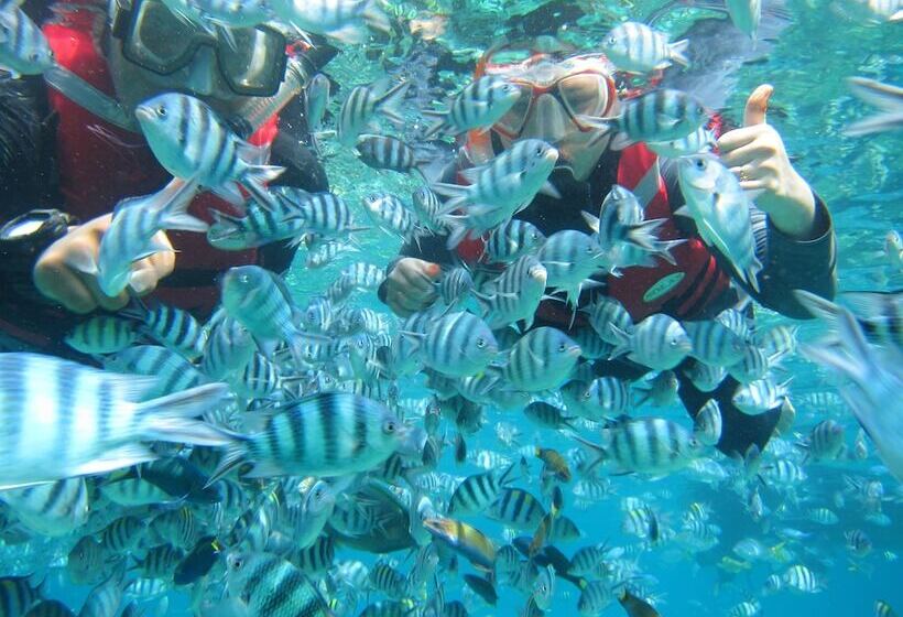 Отель Go Deeper Tioman