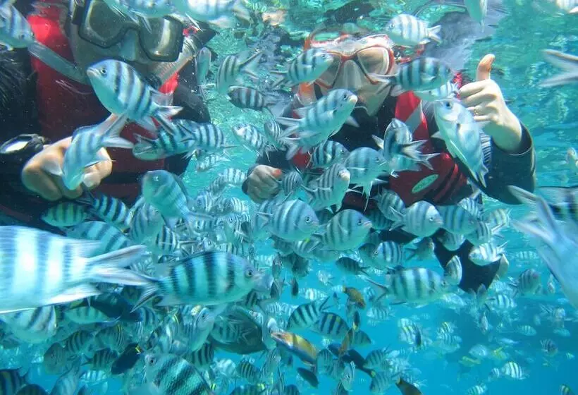 Hotelli Go Deeper Tioman