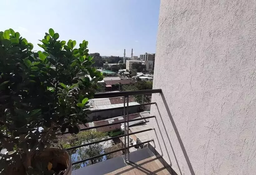 هتل Teferi Mekonnen