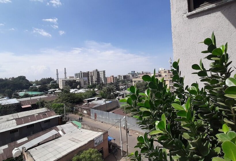 هتل Teferi Mekonnen