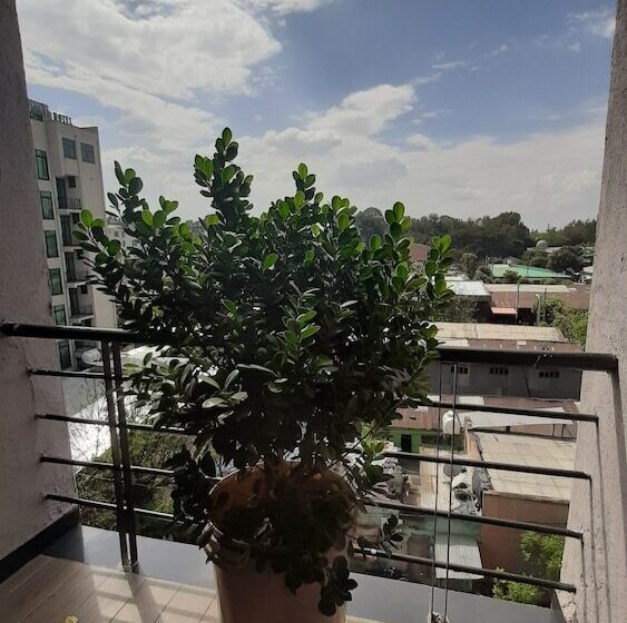 هتل Teferi Mekonnen