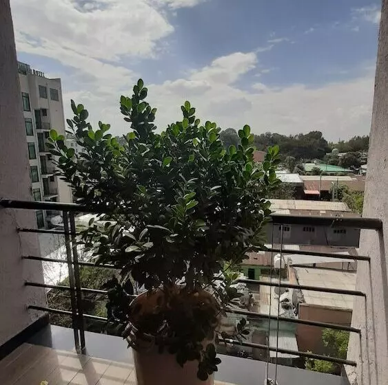 هتل Teferi Mekonnen