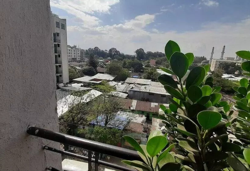 هتل Teferi Mekonnen