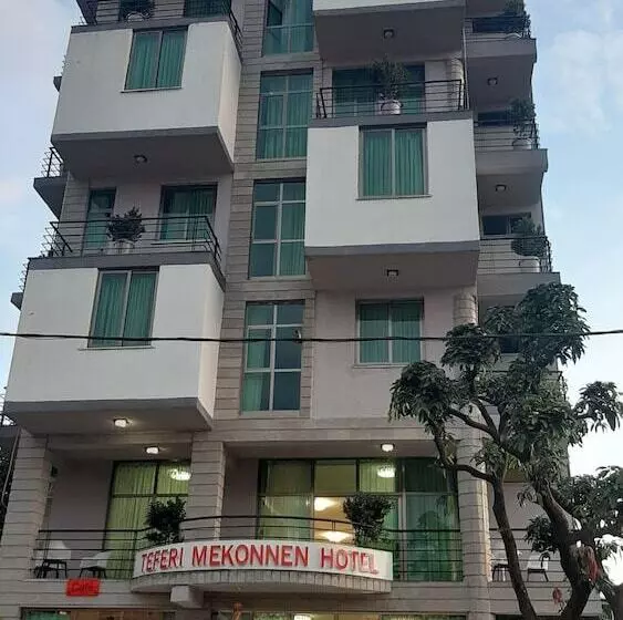 هتل Teferi Mekonnen