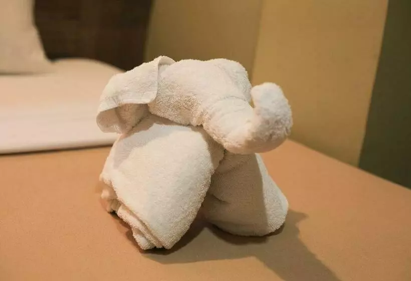 هتل Optimum Pension House