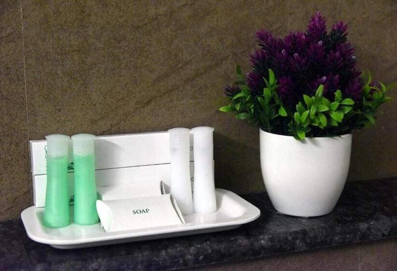 The Hydel Park   Business Class Hotel   Near Central Railway Station