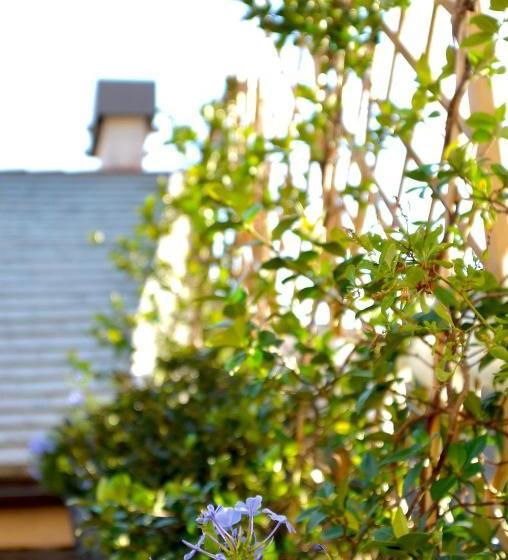 La Corte Room & Breakfast