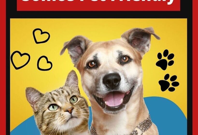 Chalé Suíço Bombinhas