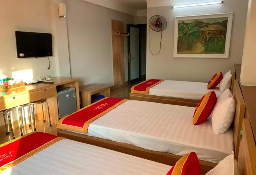 Candy Hotel Hạ Long