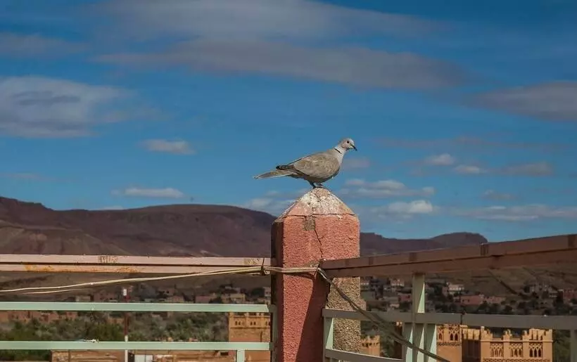 هتل Todra Centre De Tinghir