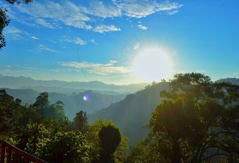 ペンション Rainbow Sky Cottage Ella