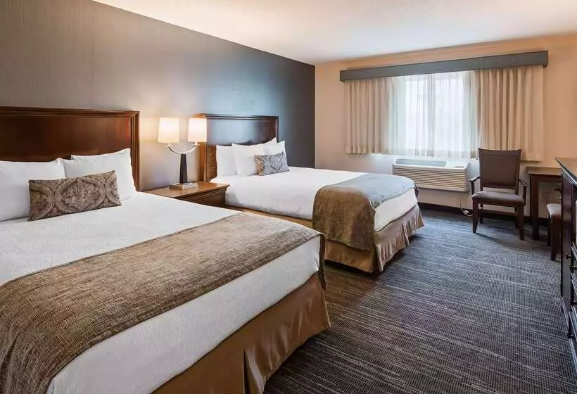 בית מלון כפרי Best Western Plus City Center