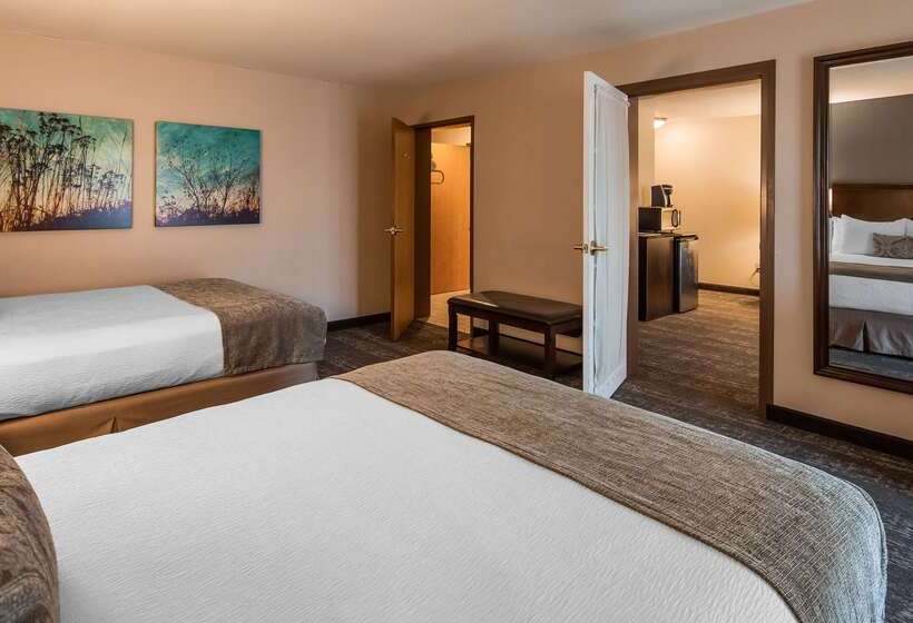 فندق Best Western Plus City Center