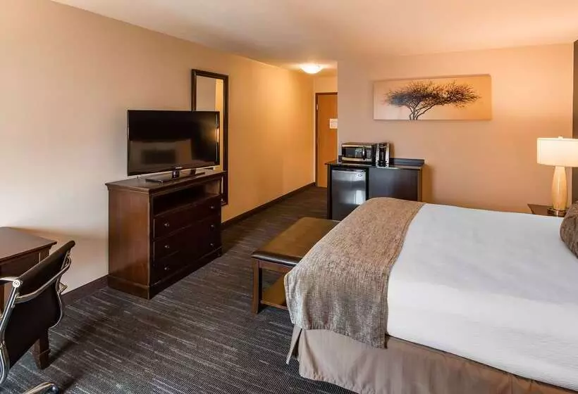 בית מלון כפרי Best Western Plus City Center