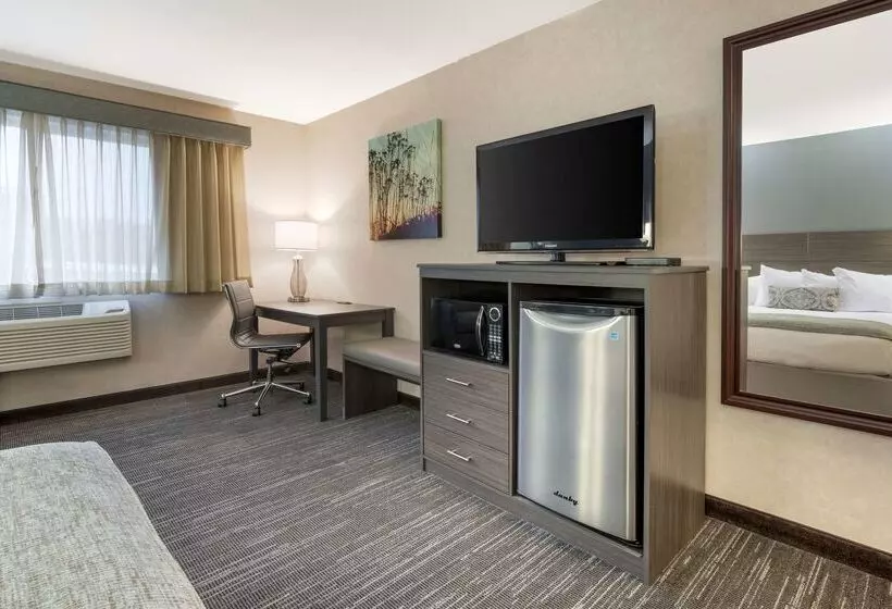 בית מלון כפרי Best Western Plus City Center