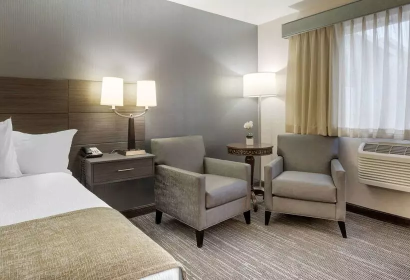 בית מלון כפרי Best Western Plus City Center