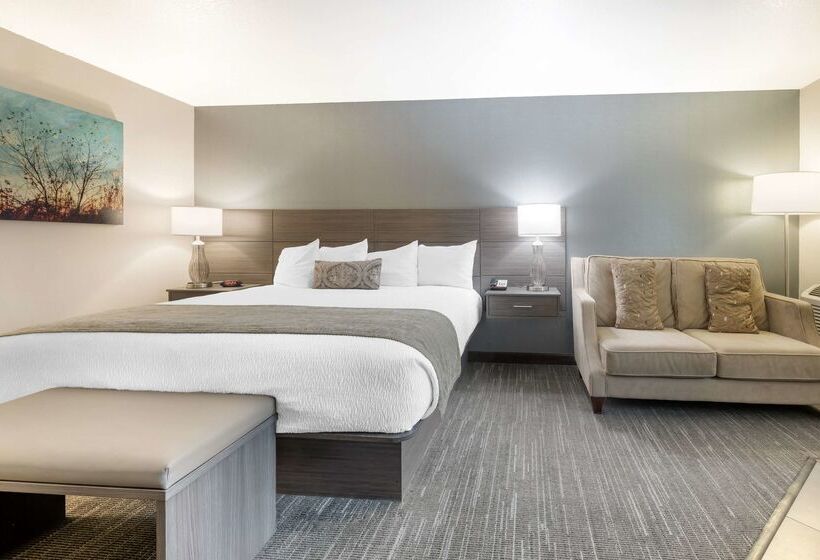 فندق Best Western Plus City Center