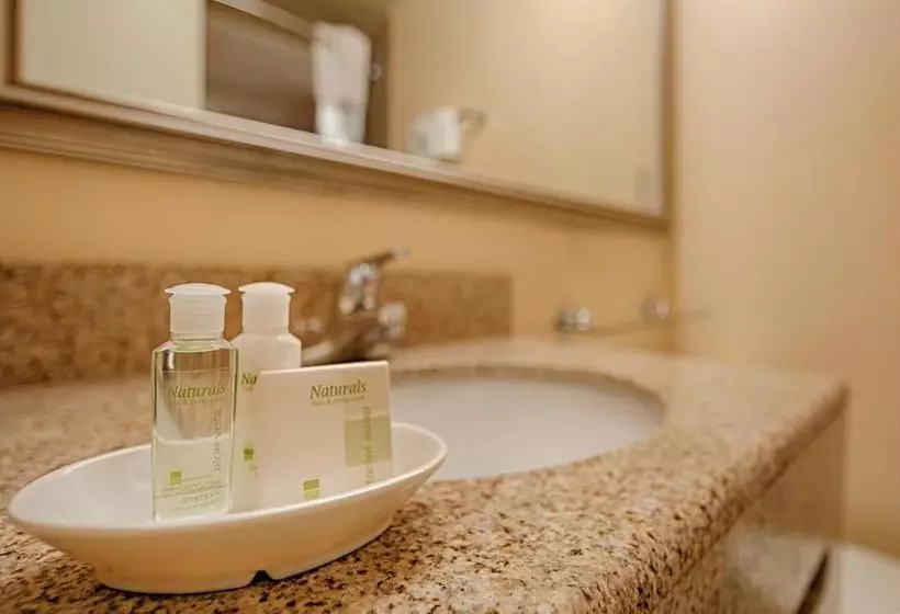 Отель The Avenue