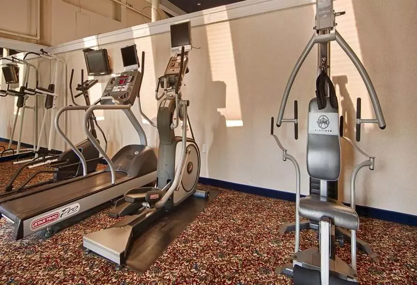 Отель The Avenue